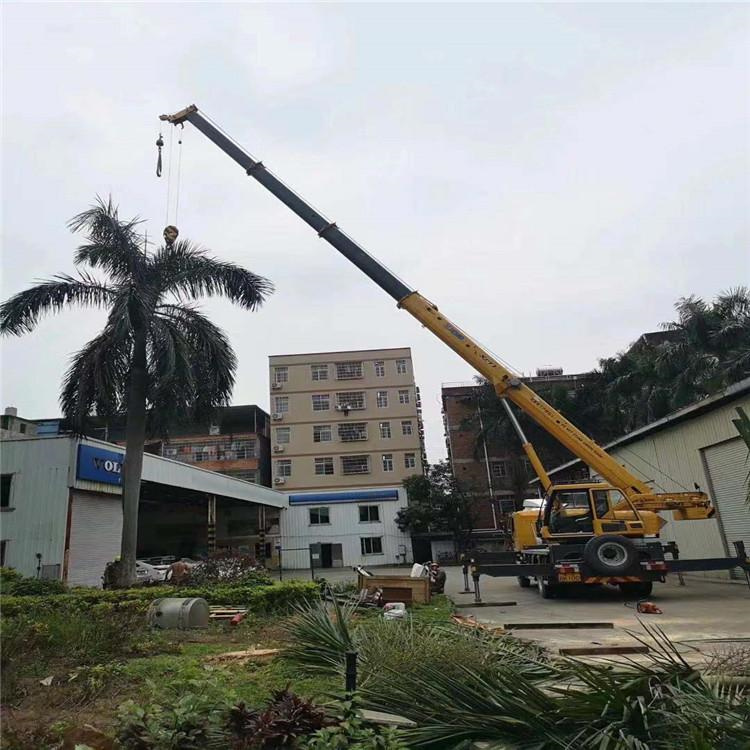 灵山吊车吊大树几种方法